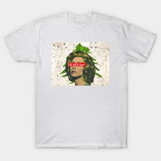 Fairouz Lebanon T-Shirt